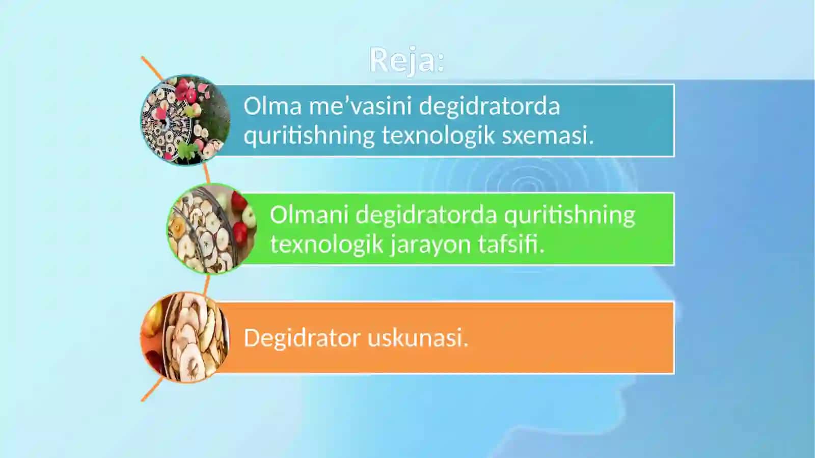 Olma me’vasini degidrator yordamida quritish 2