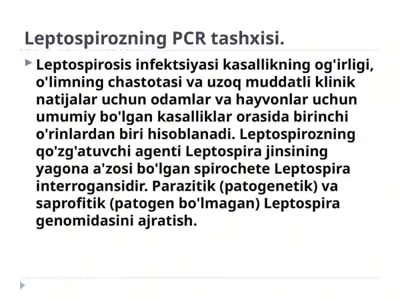 LEPTOSPIROZNING PCR TASHXISI 2