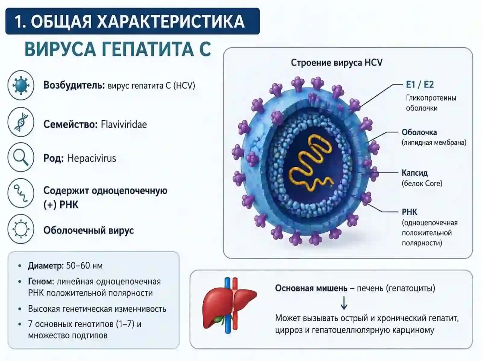 Гепатит С 2