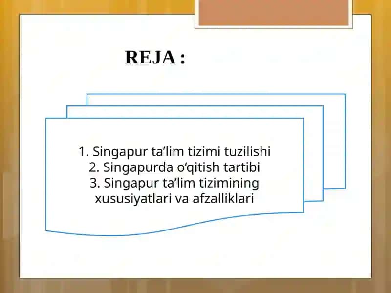 Singapur taʼlim tizimi 2