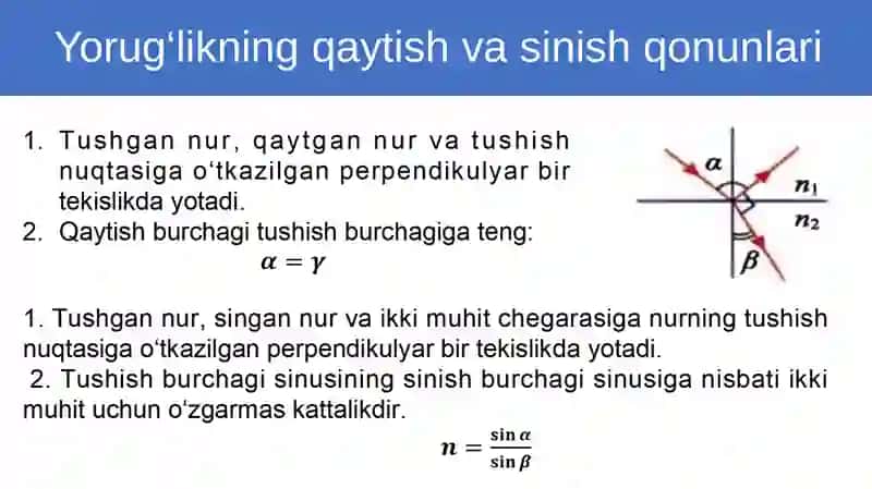 To‘laichkiqaytish 2