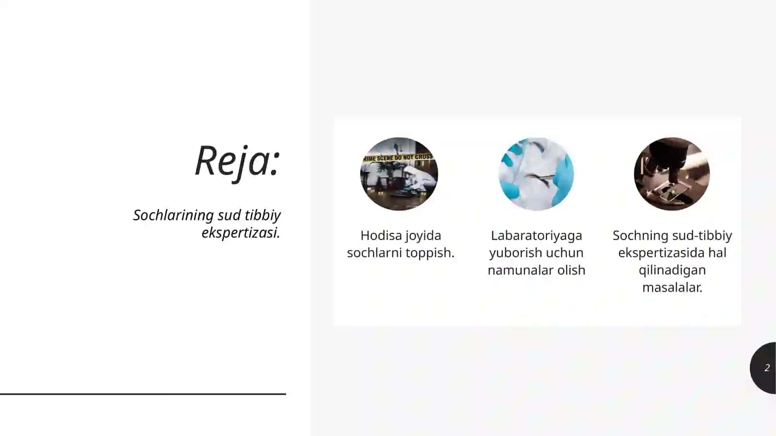 Sochlarining Sud Tibbiy Ekspertizasi 2