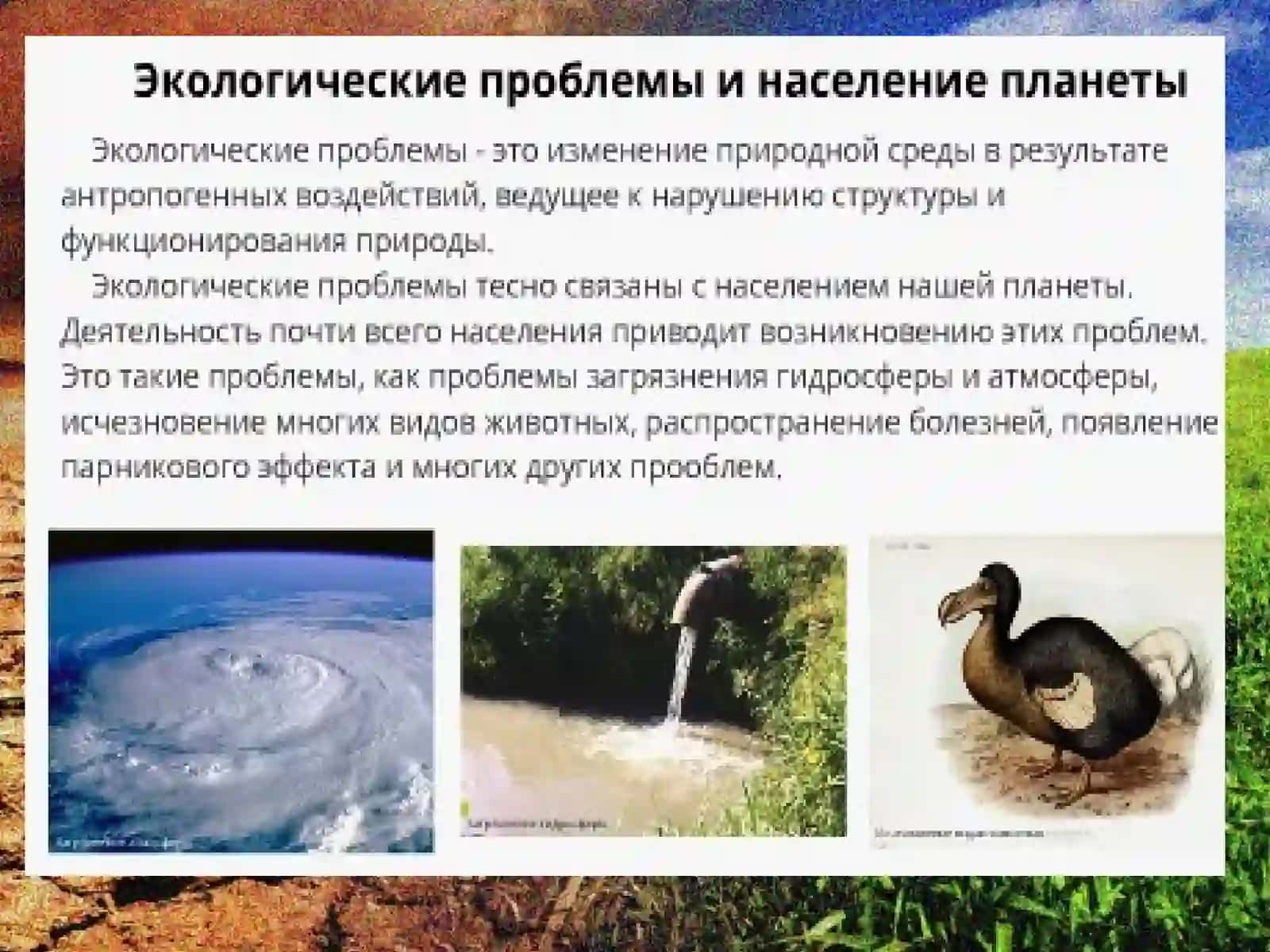 Экологические проблемы 2