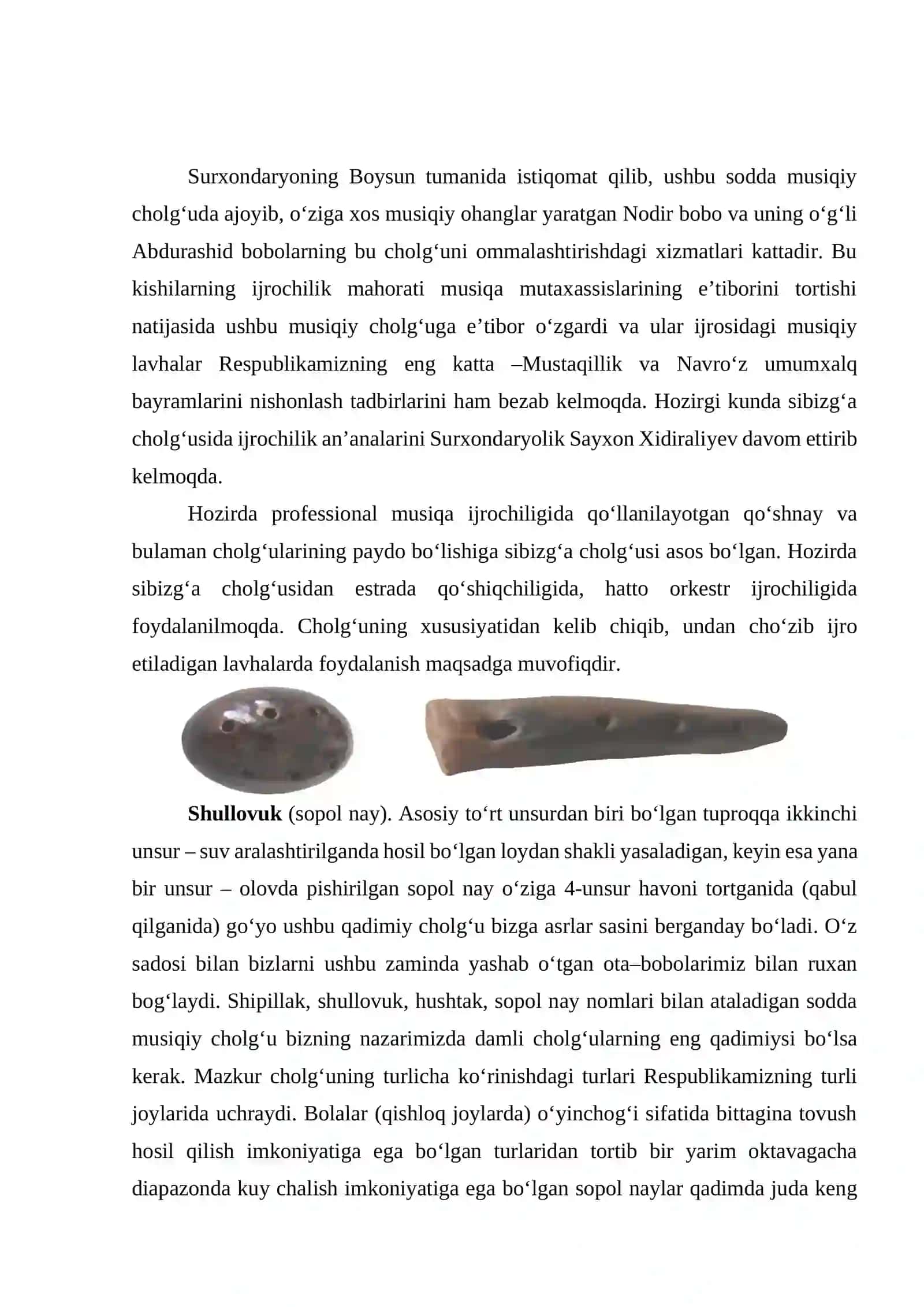Noyob musiqiy cholg‘ularining ta’rifi 2