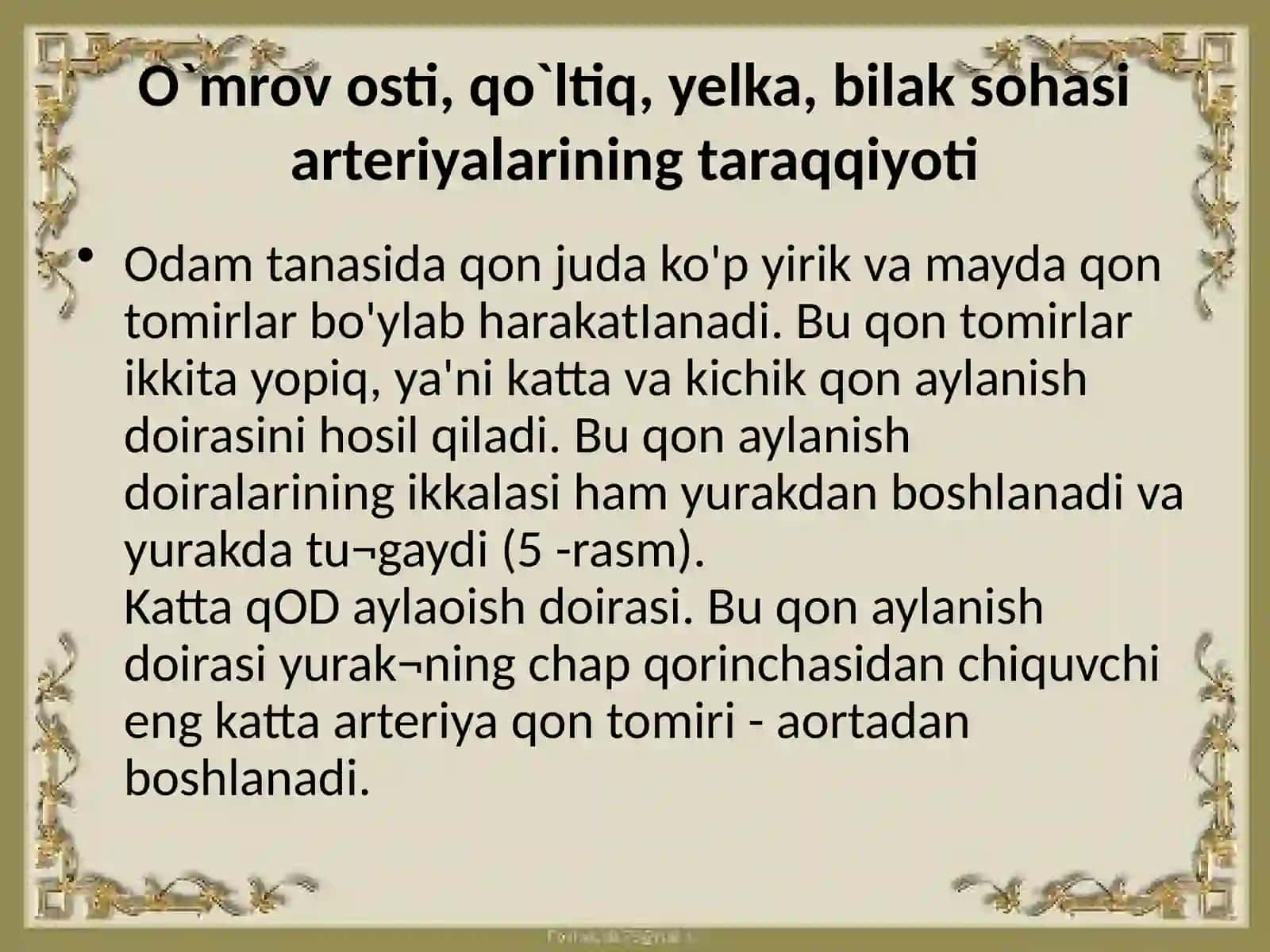 O`mrovosti, qo`ltiq, yelka, bilak sohasi arteriyalarining taraqqiyoti 2