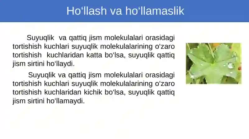 Ho‘llash.Kapillyar hodisalar 2