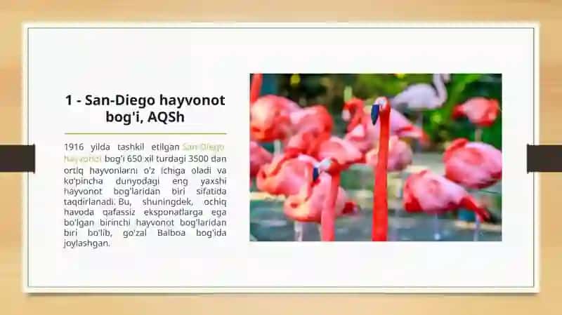 Dunyodagi 20 ta eng yaxshi hayvonot bog'lari 2