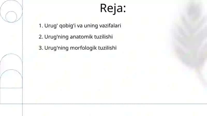 Donlarning anotomik va morfologik tuzilishi 2