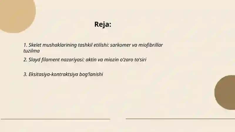 Muskul tizimi fiziologiyasi 2