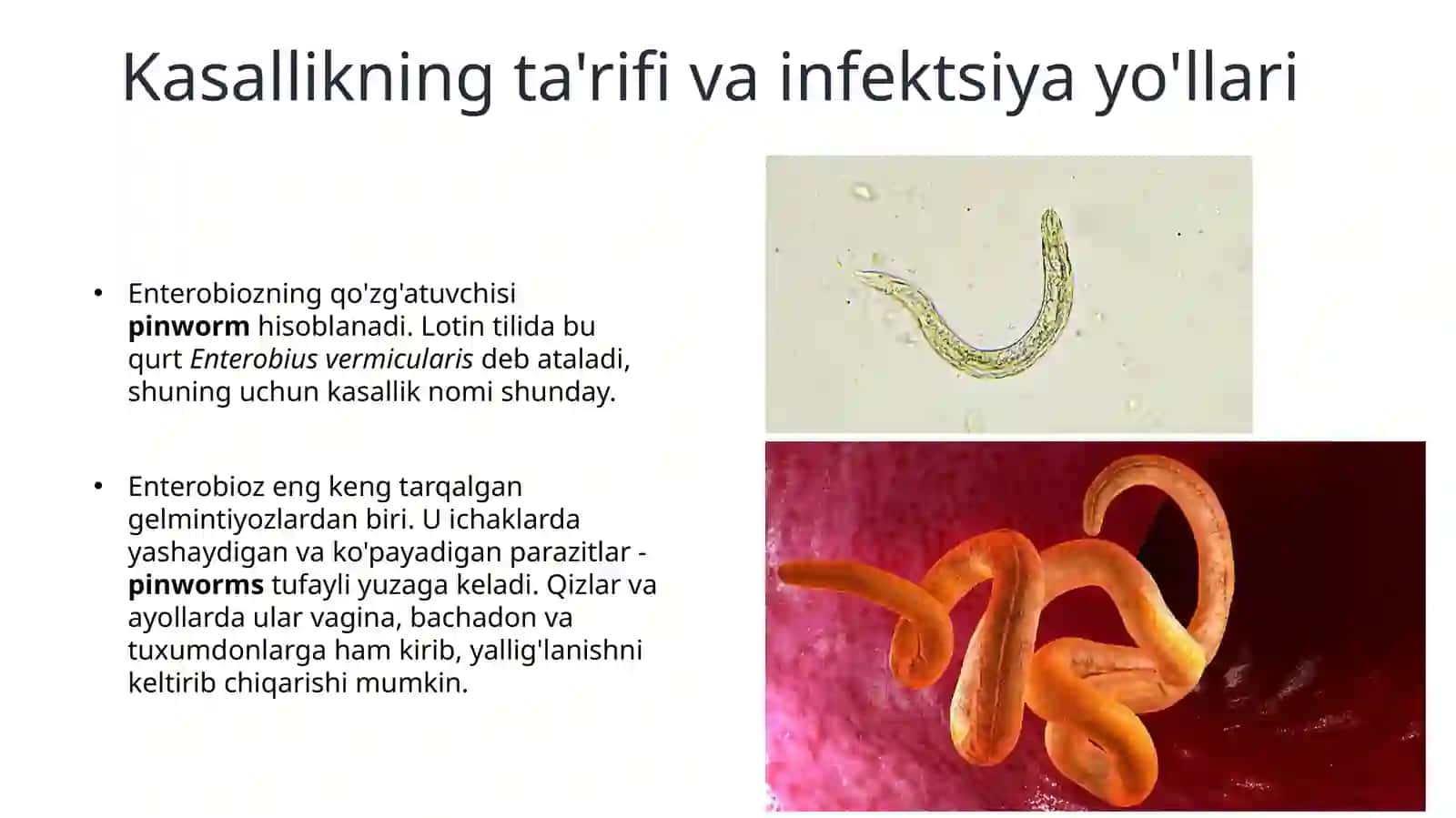 Enterobioz (Ostritsa) 2
