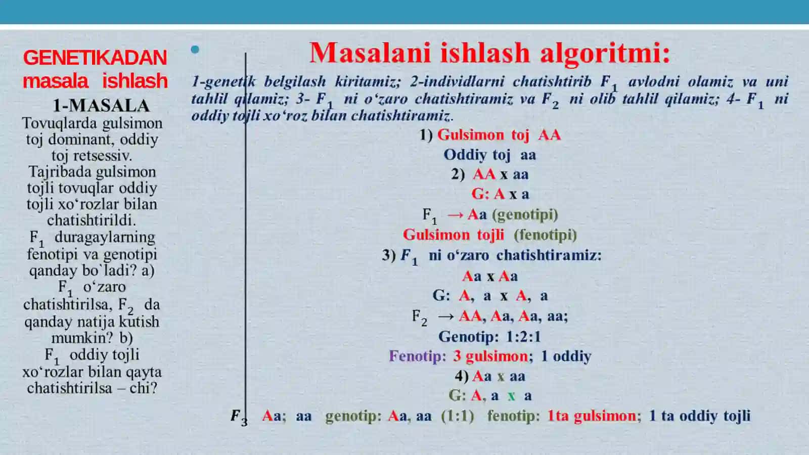 GENETIKADAN MUSTAQILMASALA YECHISHNI O‘RGANAMIZ! 2