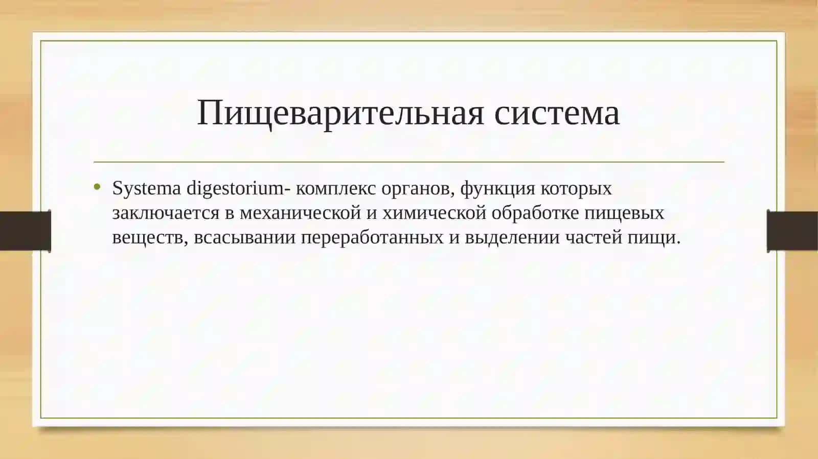 Органы пищеварения 2