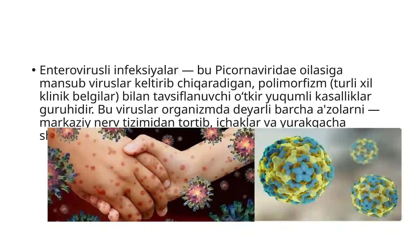 Enteroviruslar 2
