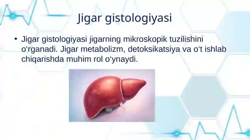 JIGAR GISTOLOGIYASI 2