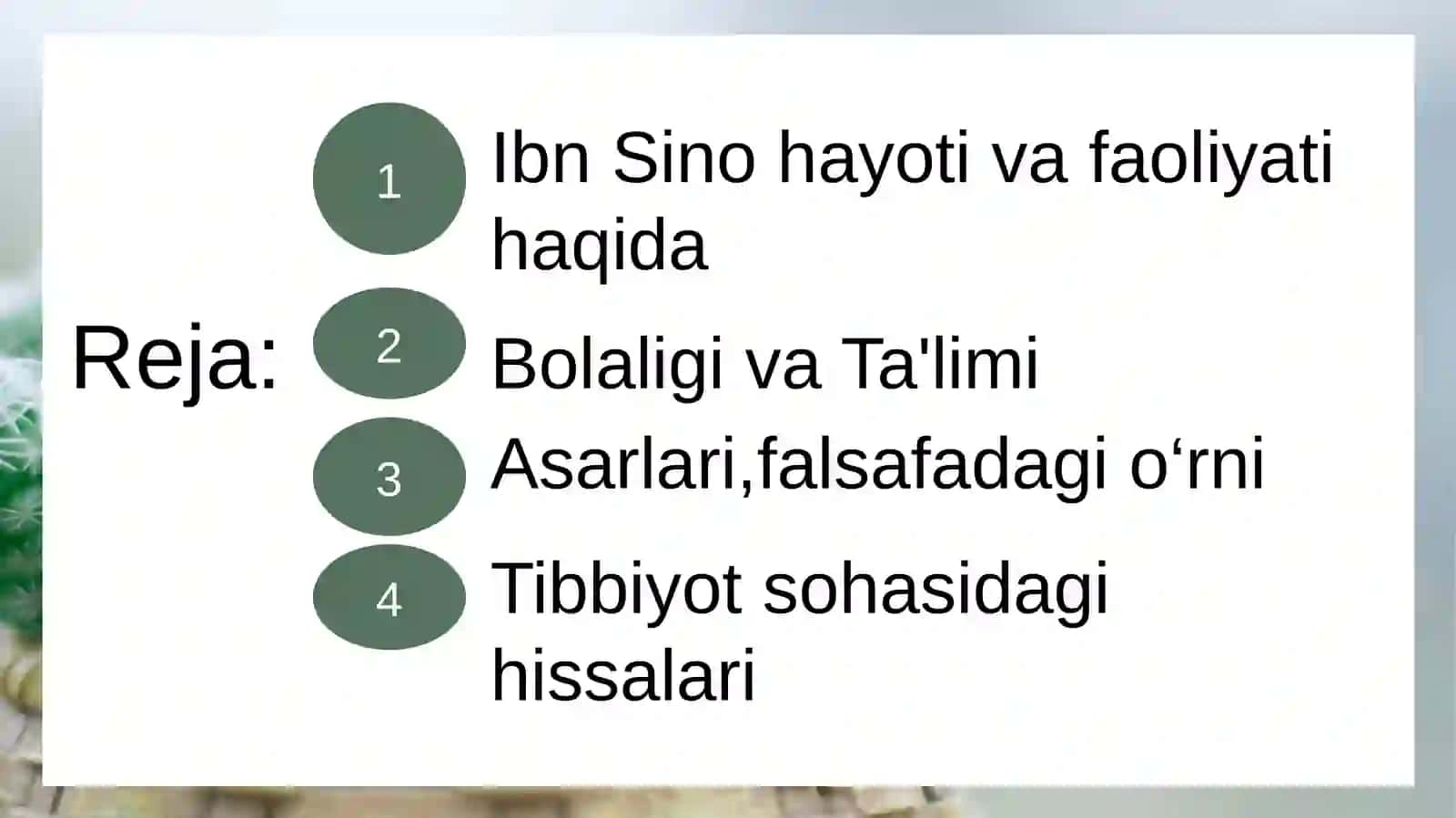 Ibn Sino hayoti va faoliyati haqida 2