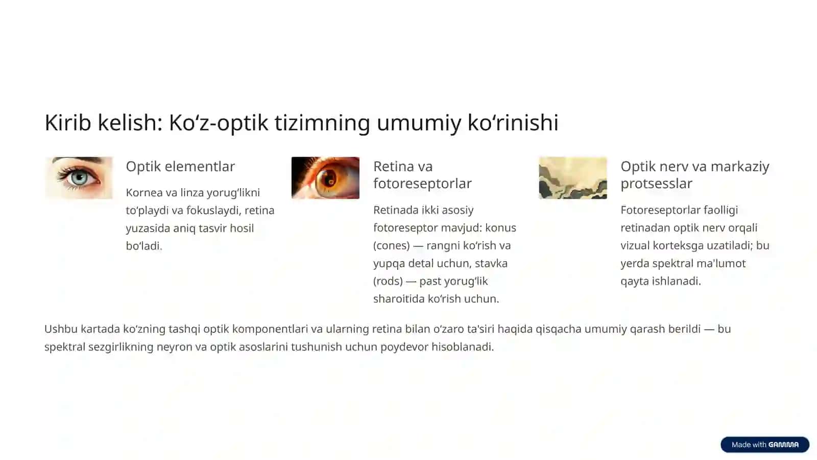 Ko‘z-optik sistema: Ko‘zning spektral sezgirligi 2