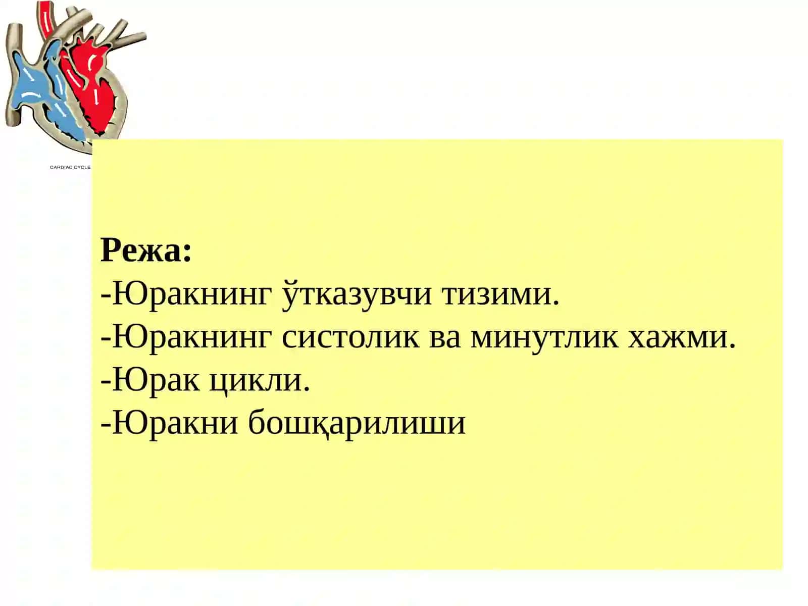 Юракнинг гемодинамик вазифаси 2