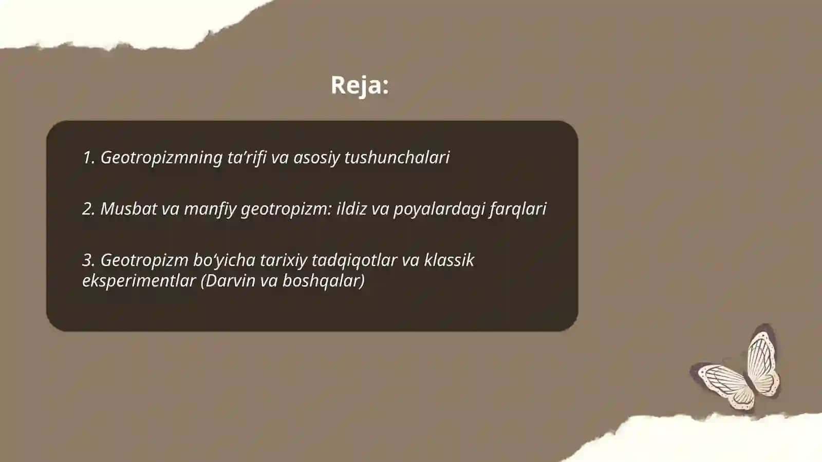 Geotropizm 2