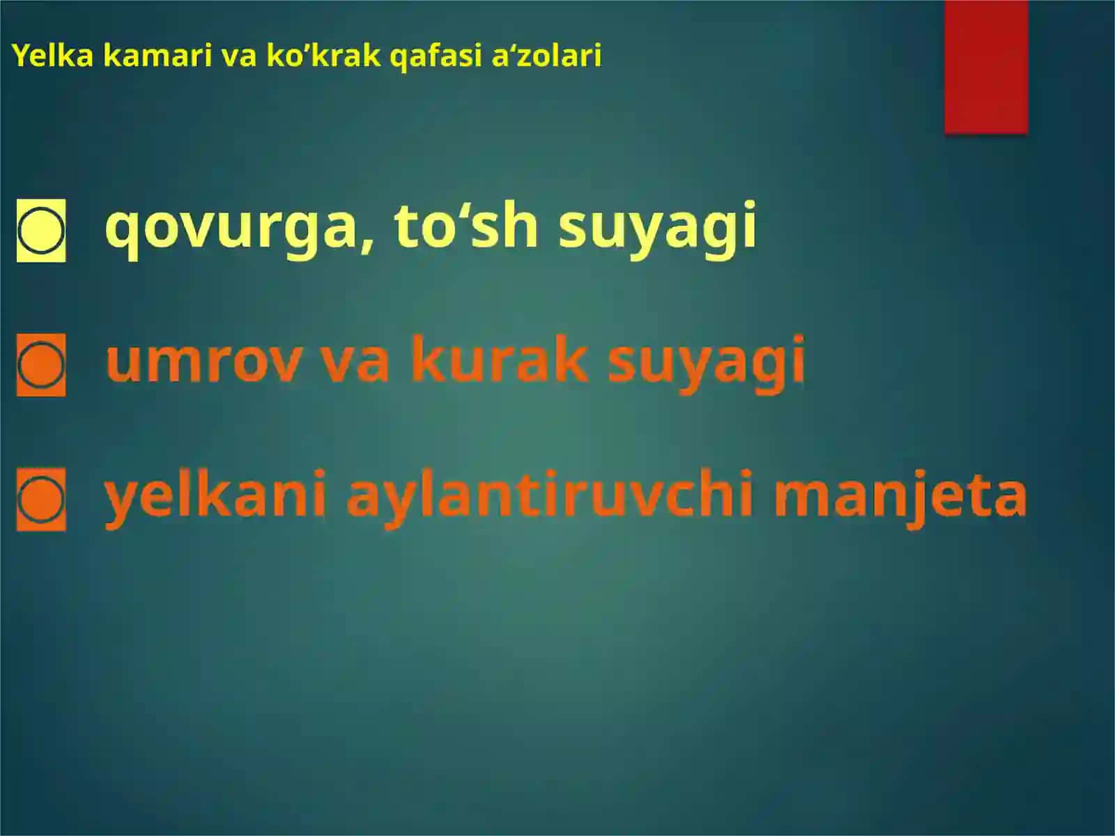 Yelka kamari va Ko‘krak qafasi va qo‘l jarohatlari 2