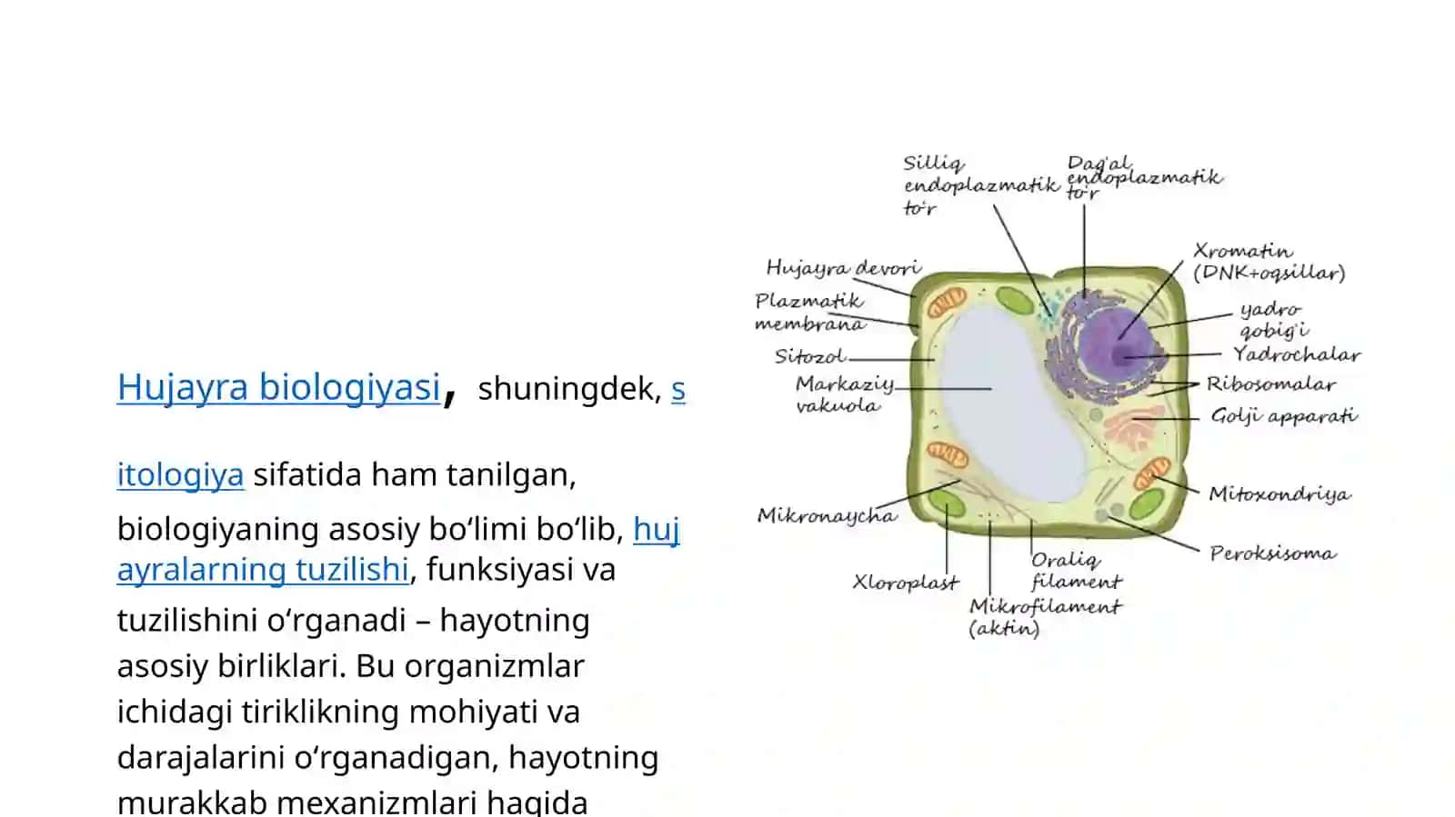 Hujayra biologiyasi. Gen terapiyasi. Klonlar, klonlashtirish 2