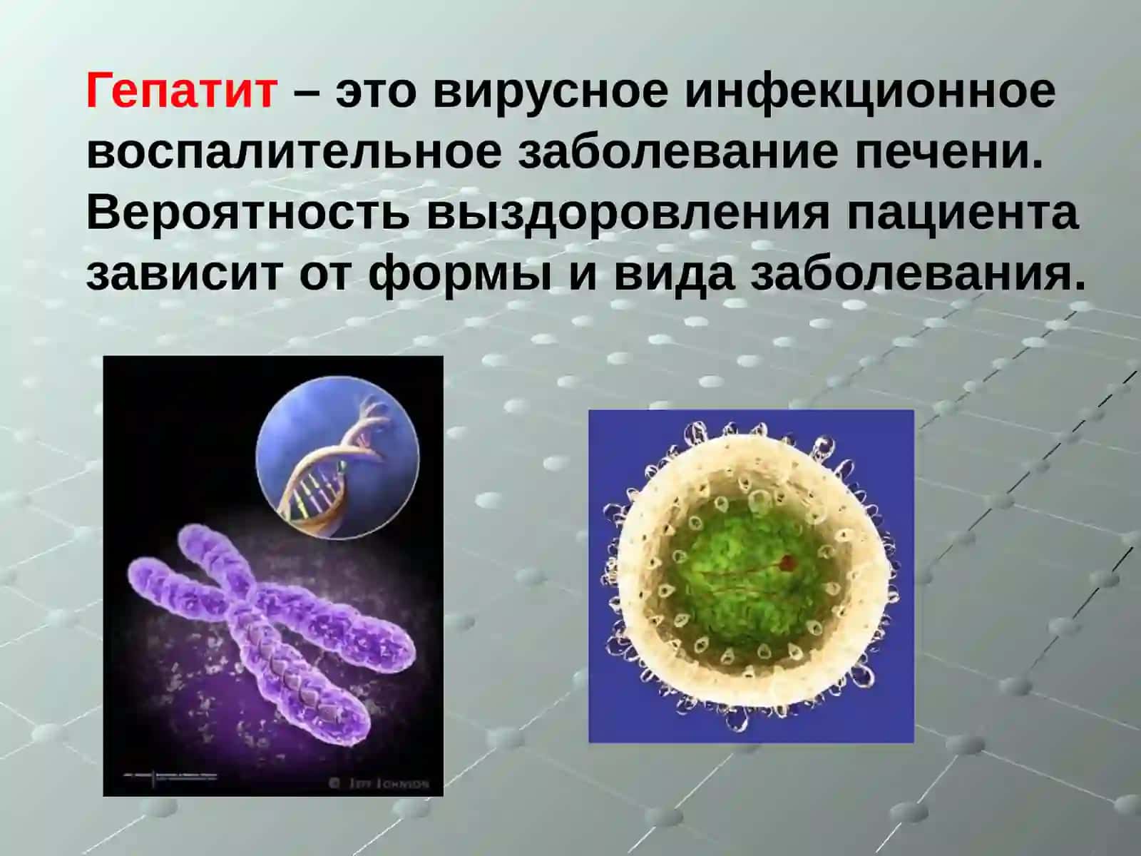 Гепатит 2