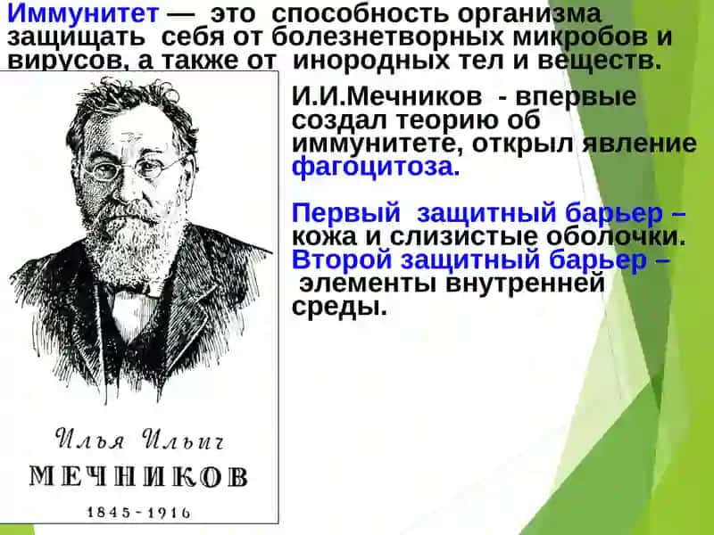 ИММУНИТЕТ 2