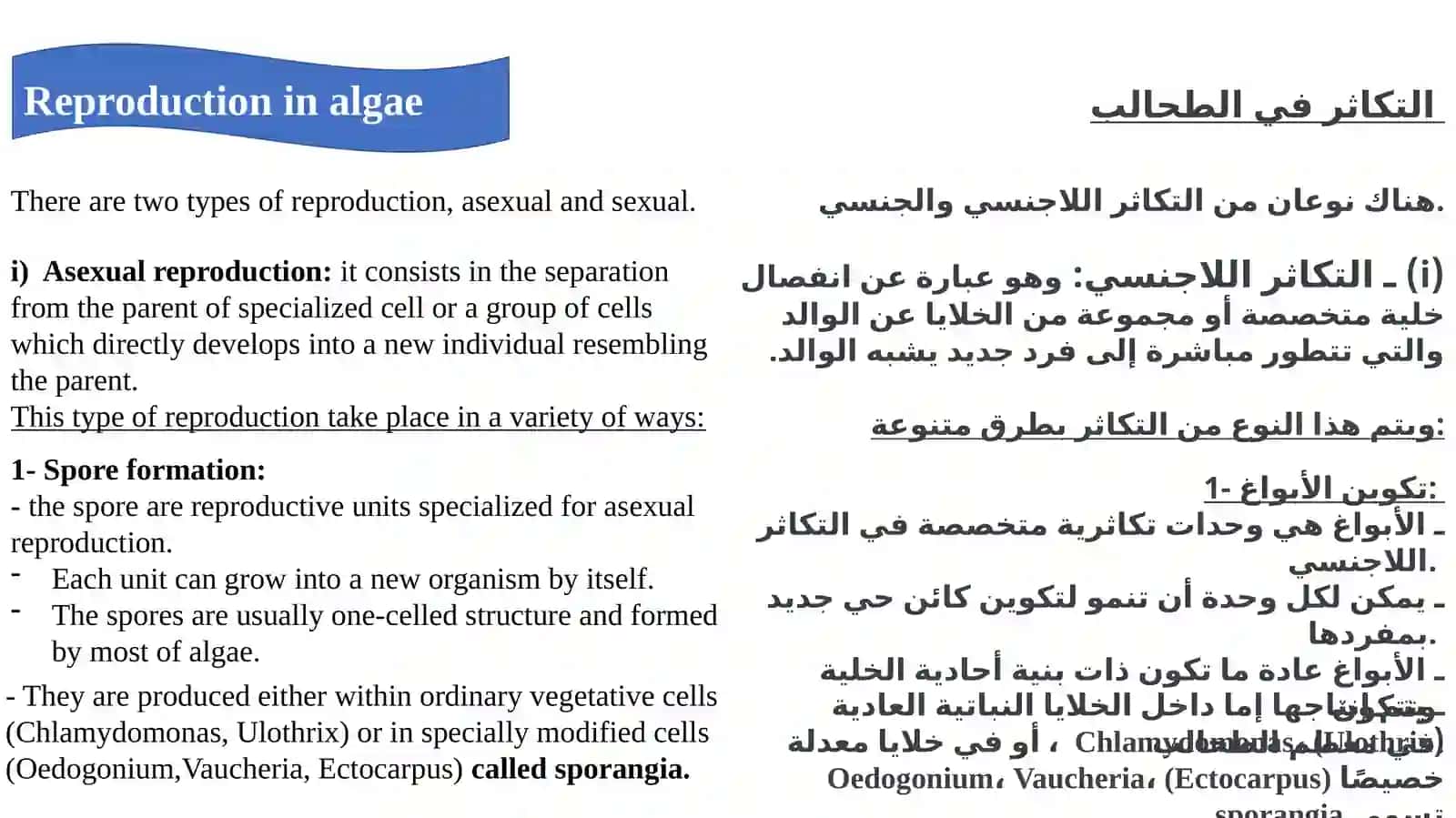 Reproduction in Algae 2