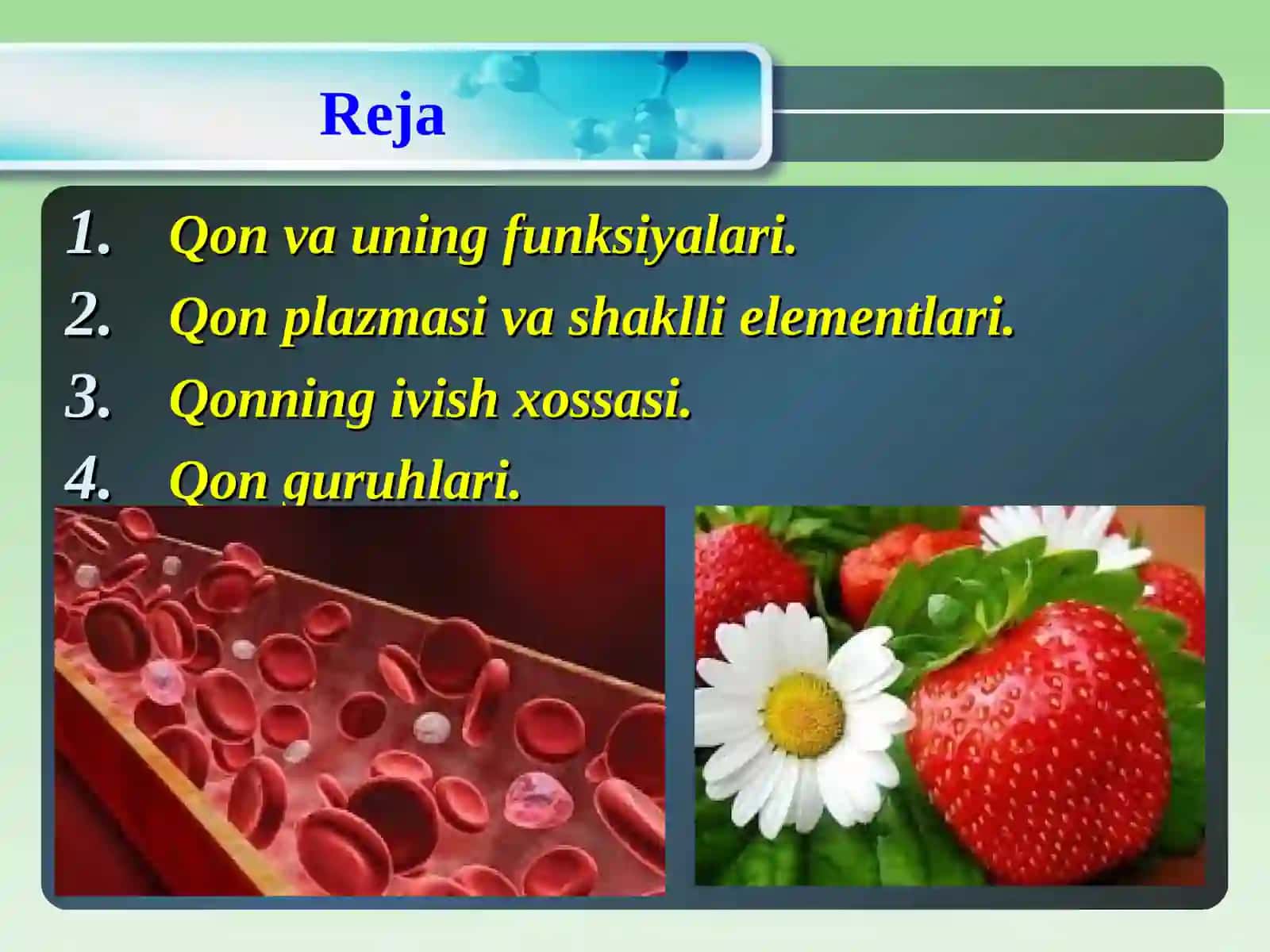 Qon tizimining fiziologiyasi 2