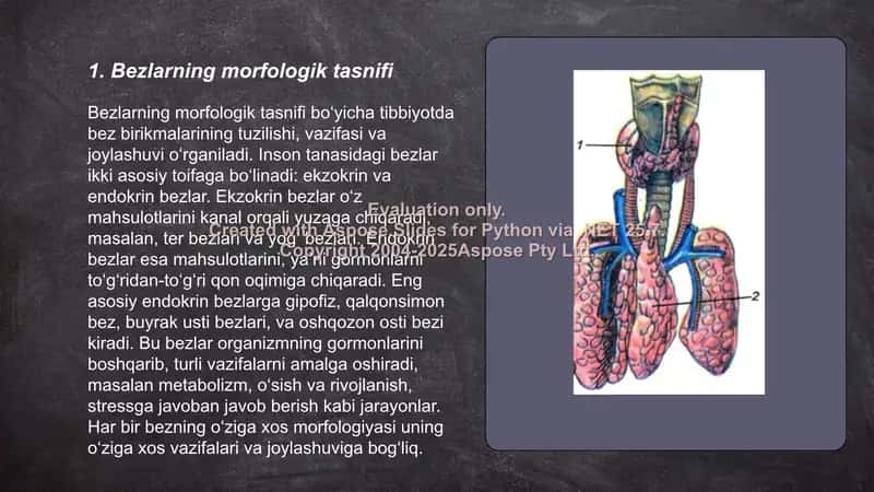 Gistalogiya fani bezlar 2