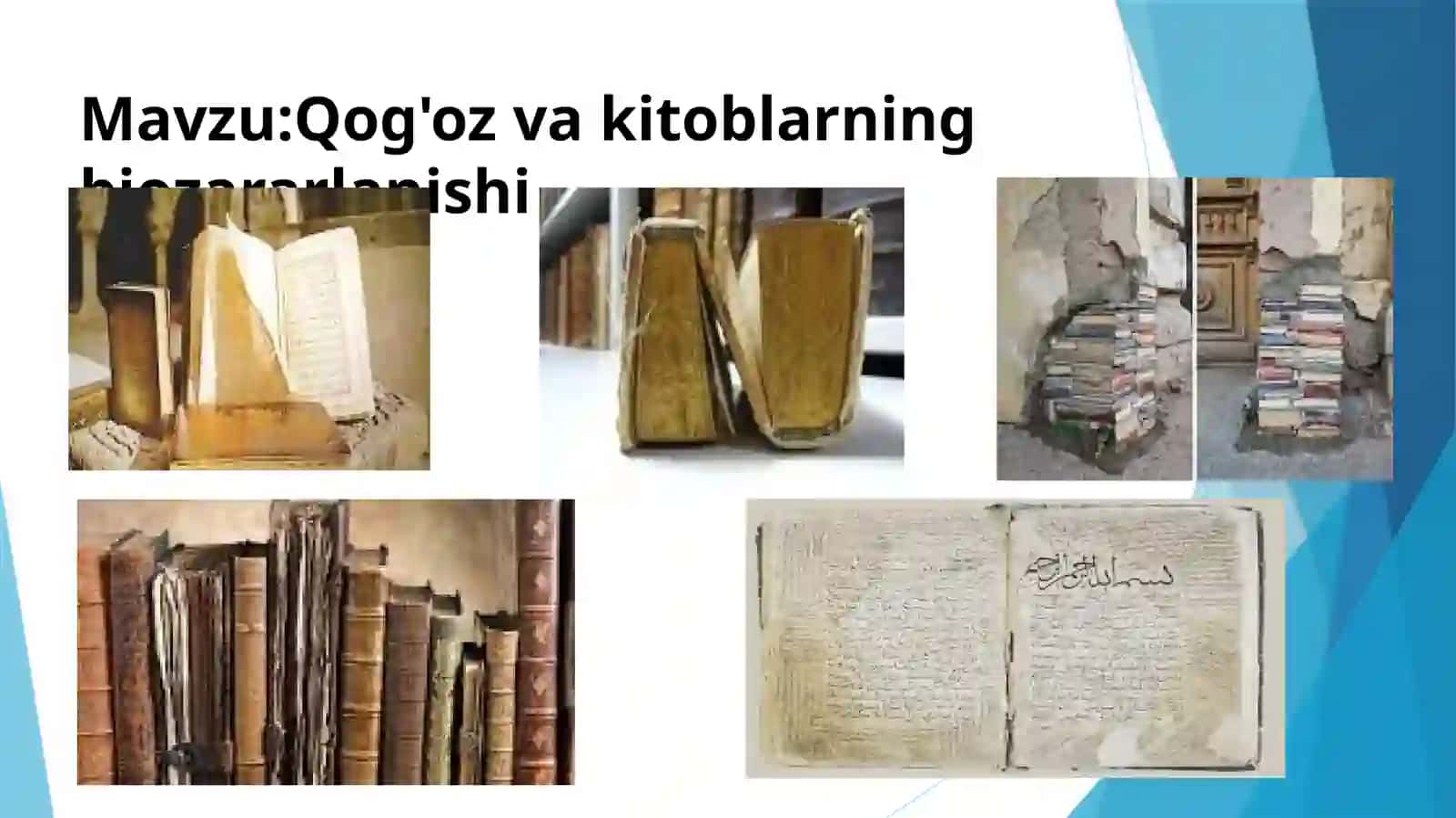 Qog'oz vakitoblarning biozararlanishi 2
