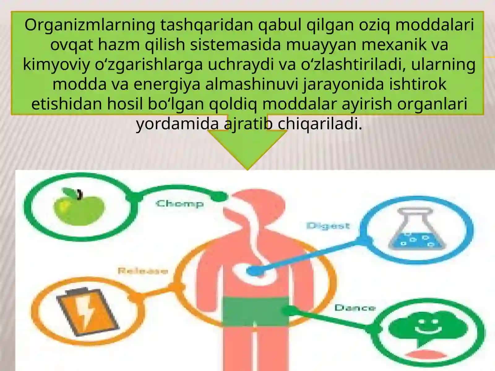 HAYVONLARNINGAYIRISHORGANLARI EVOLUTSIYASI 2