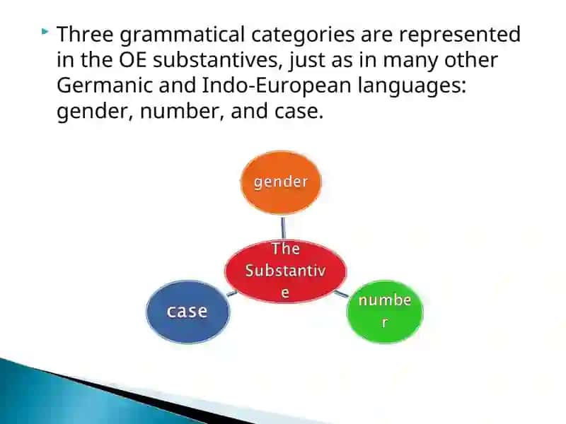 Three grammatical categories in OE substantives 2