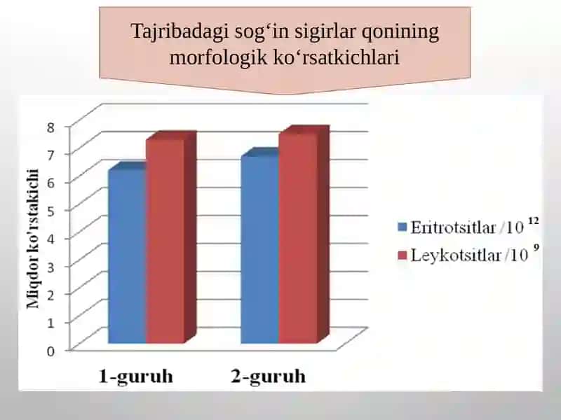Tajribadagi sigirlar qoniga immunoglobulinlarni aniqlash 2