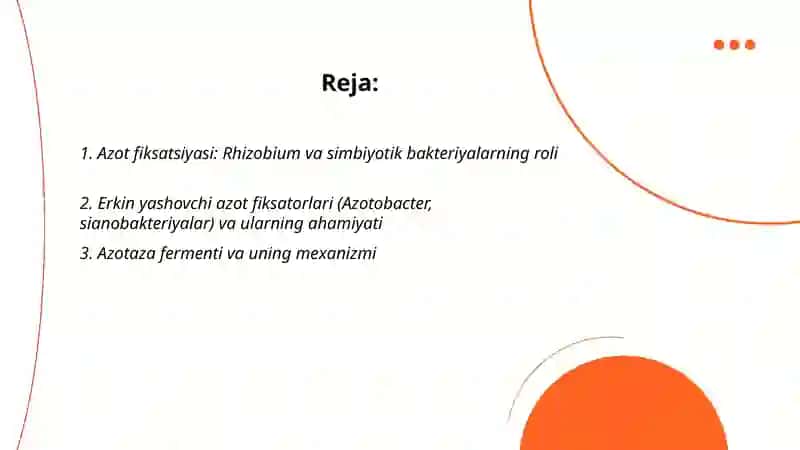 Azotning tabiatda aylanishi va mikroorganizmlarni roli 2