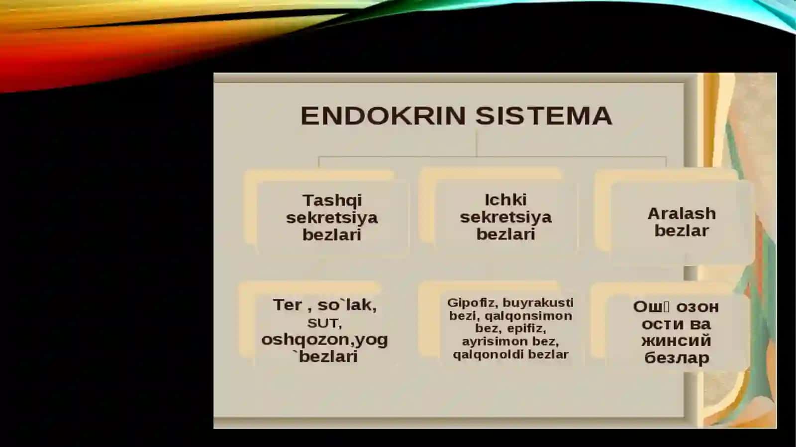 ТОШКЕНТ ТИББИЁТ АКАДЕМИЯСИ ТЕРМИЗ ФИЛИАЛИ АНАТОМИЯ ФАНЛАР КАФЕДРАСИ 2