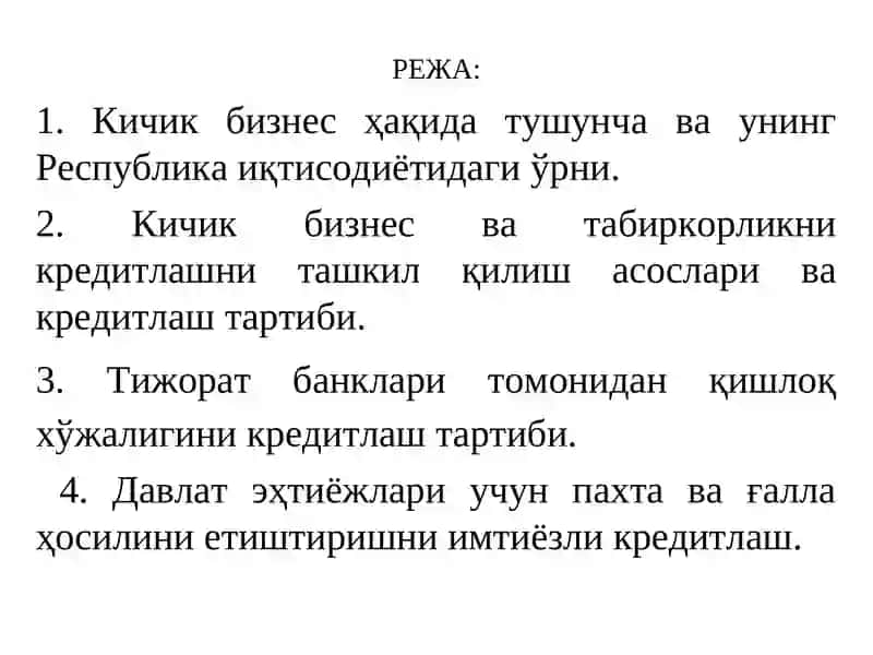 Кичик бизнес, тадбиркорлик ва қишлоқ хўжалиги субъектларини кредитлаш 2