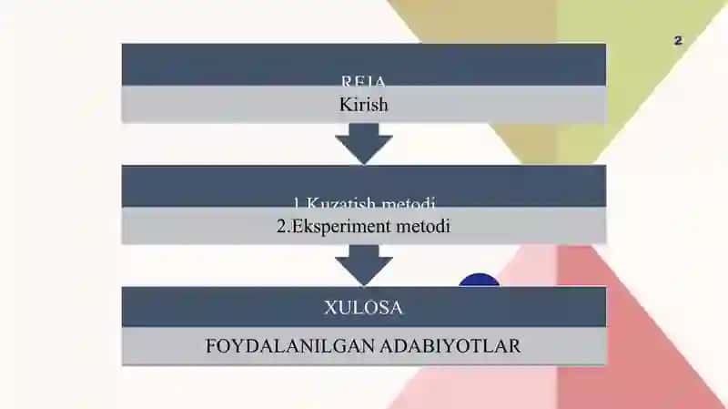 Kuzatish va eksperiment rivojlanish psixologiyasining asosiy metodi sifatida 2