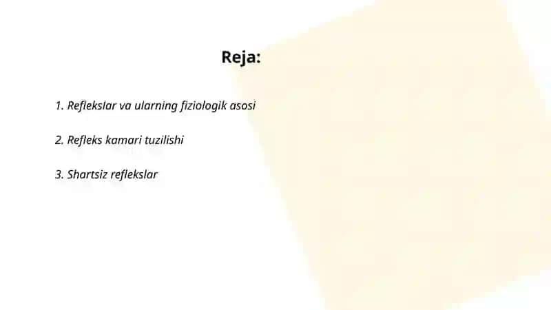 Reflekslar haqida tushuncha 2
