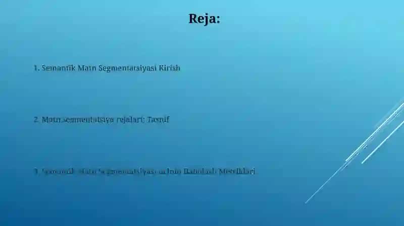 Semantik Matn Segmentatsiyasi 2