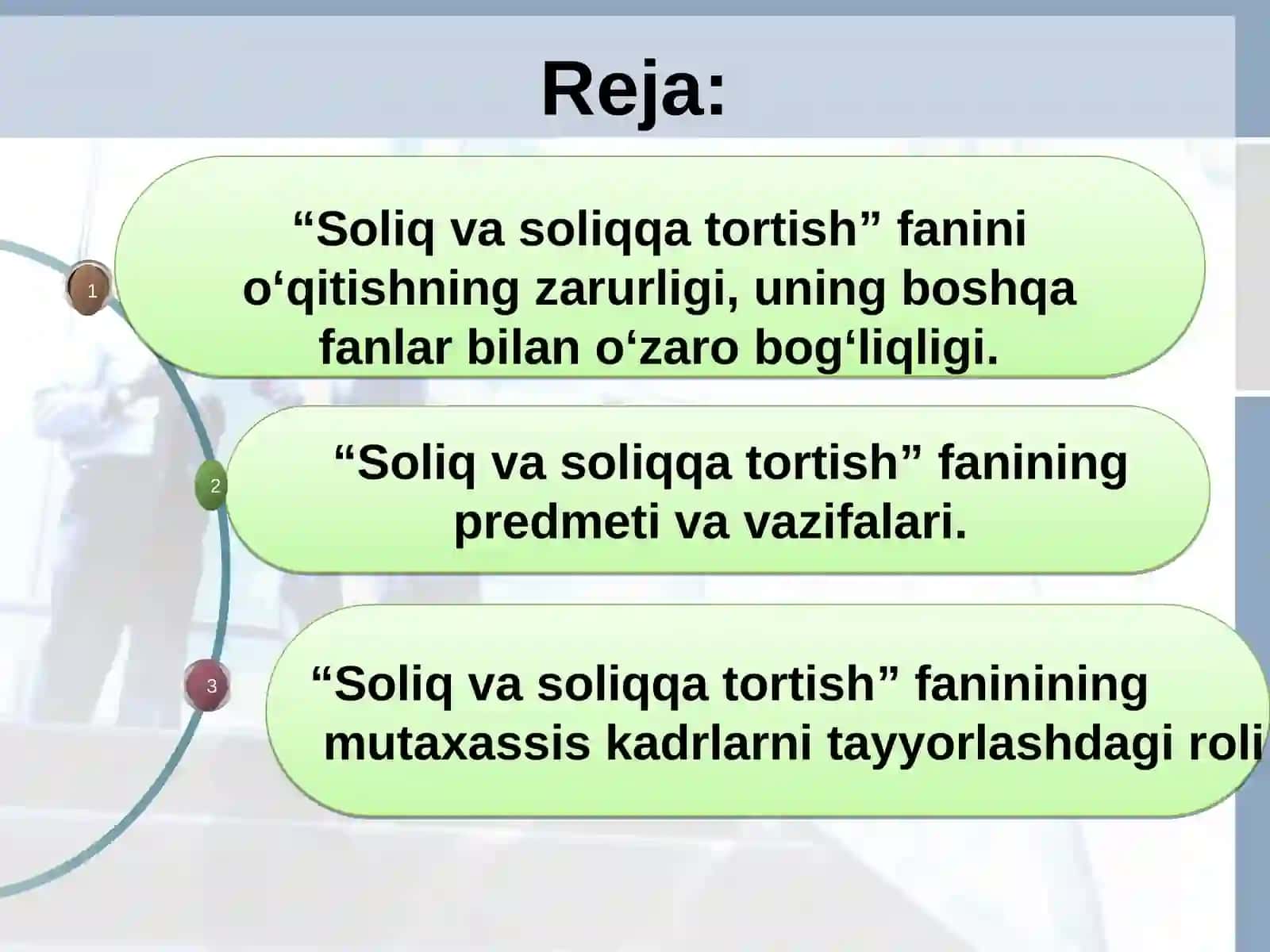 SOLIQ VA SOLIQQA TORTISH 2