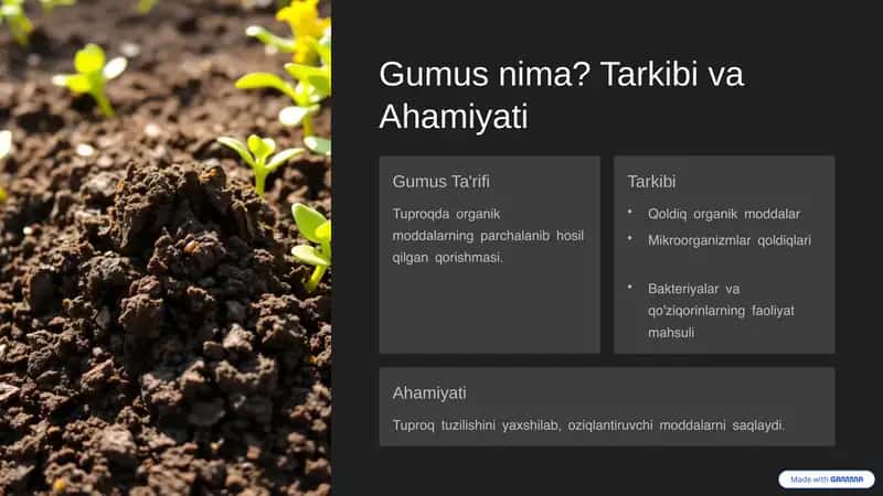 Gumus Mikroflorasi va Gumus Hosil Bo'lishi 2