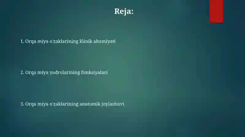 Orqa miya ôzaklarining joylashuvi va ularning ahamiyati 2