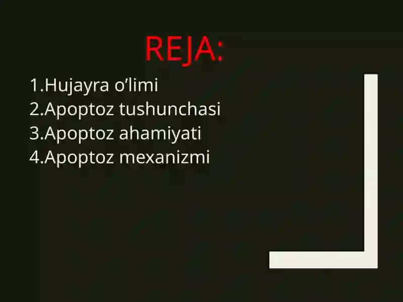 Apoptoz mexanizmlari 2