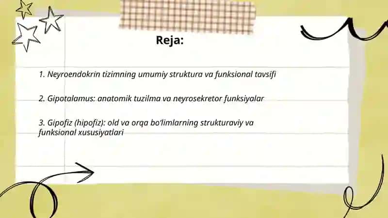 Neyroendokring tizimning struktur funksional tavsifi 2