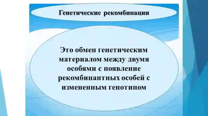 Рекомбинация ДНК и его применение в медицине 2