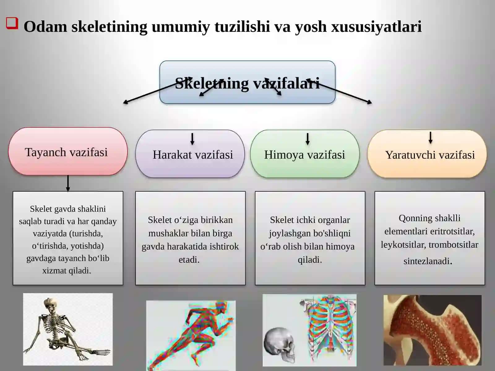 Tayanch–harakat apparatining yosh xususiyatlari va gigiyenasi 2
