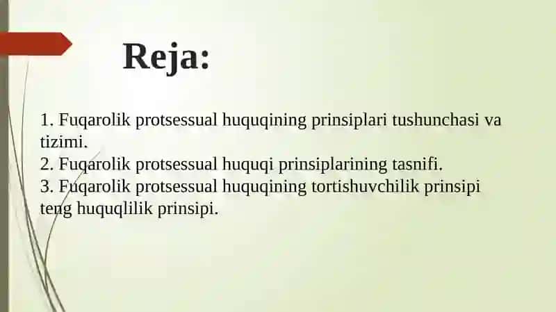 Fuqorolik protsessual huquqining prinsiplari tushunchasi va tasnifi 2