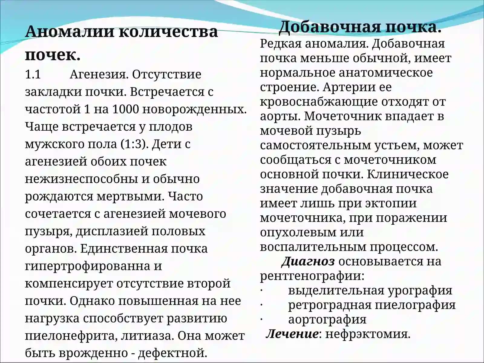 Аномалии количества почек 2