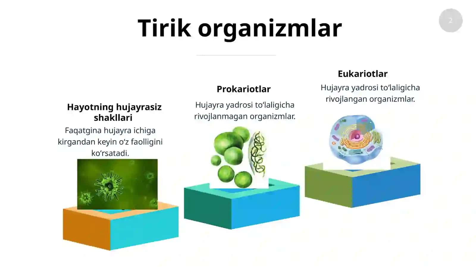 Hayotning hujayrasiz shakllari va ular keltirib chiqaradigan kasalliklar 2