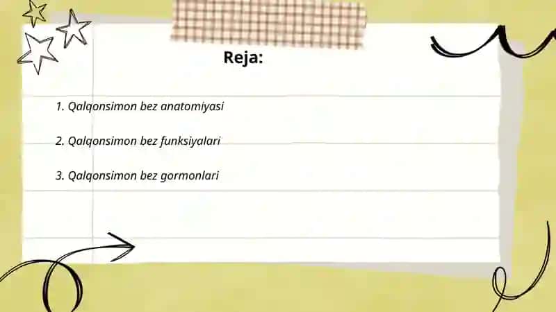 Qalqonsimon bez anatomiyasi 2